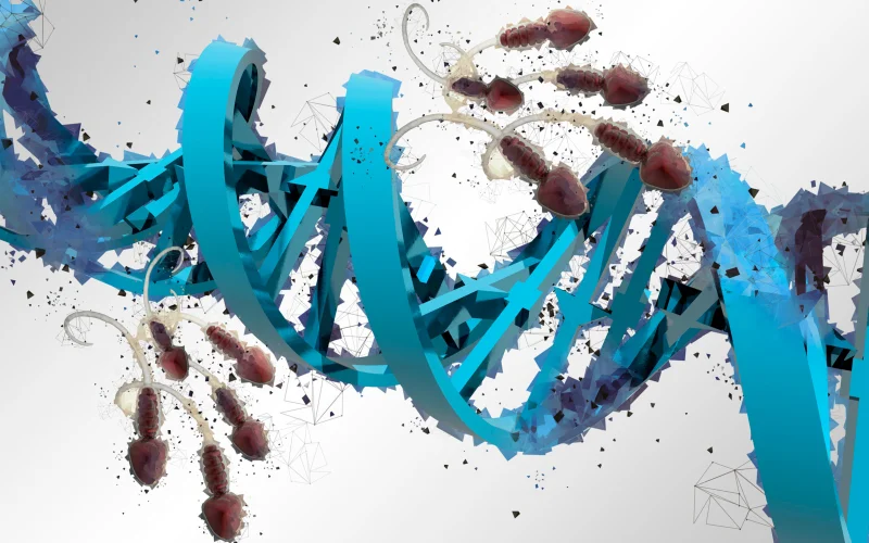 fragmentación de ADN espermático